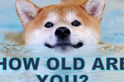 We Know Which GIF Will Make You Laugh Based On Your Age