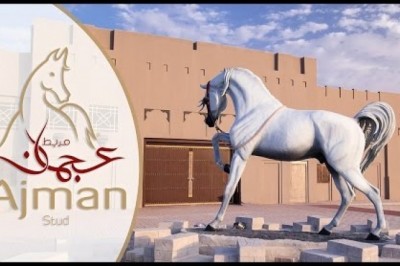 Ajman Stud Timelapse / Hyperlapse