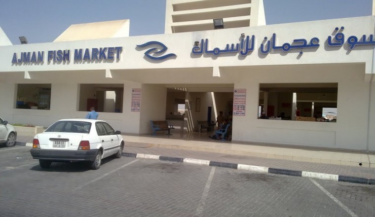 Ajman Fish Market