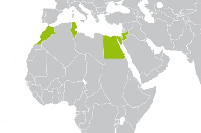 Capacity Building to Unlock Private Finance for Green Energies: RENAC's Green Banking Programme Now Launched for the MENA Region