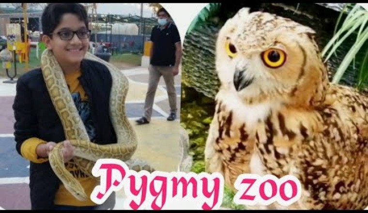 Ajman Pygmy Zoo Visit & reviews