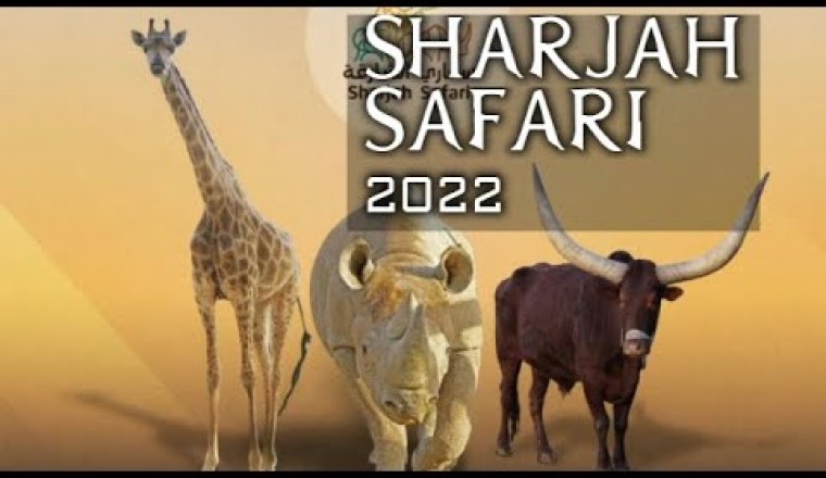 Sharjah Safari First Look at Attraction That Houses Thousands of Animals : UAE Attraction Places