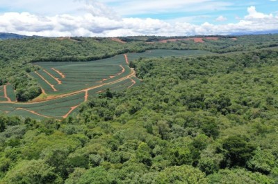 فريش ديلمونتي تحدد معايير جديدة للاستدامة في تقريرها لعام 2022