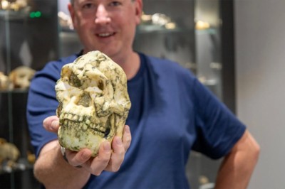 A legendary fossil is forcing scientists to rethink human origins