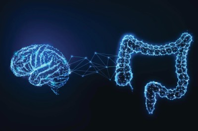 The secret to human intelligence? It might be in our gut